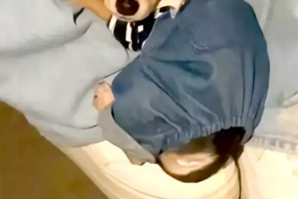 ビビりな赤ちゃん犬の初散歩→地面に降ろそうとすると…怯えすぎて見せた『まさかの行動と表情』が7万再生「心から愛おしい」「可愛すぎる」