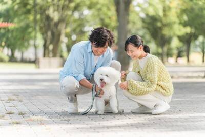 犬との外出で『撫でていいか』聞かれたときのNG行為4選　起こり得るトラブルとは？