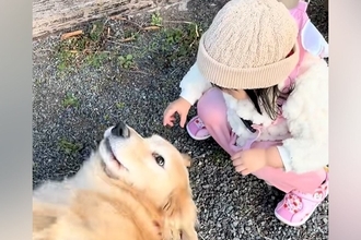 『初めてわんこを触る』2歳の女の子→散歩中の大型犬が…優しい時間が流れる『尊い光景』に絶賛「撫で方に素質あり」「どっちも可愛すぎる」