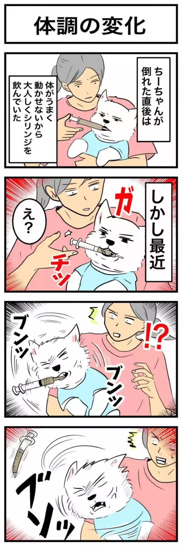 ちーちゃんですけどもっ【第366話】「体調の変化」