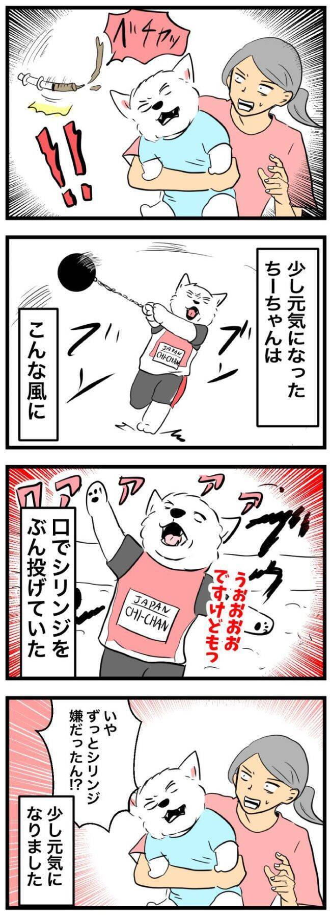 ちーちゃんですけどもっ【第366話】「体調の変化」