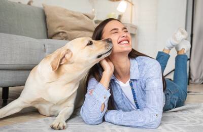 犬が『おねだりしているとき』のサイン5選　要求してくる心理や構ってはいけないタイミングとは？