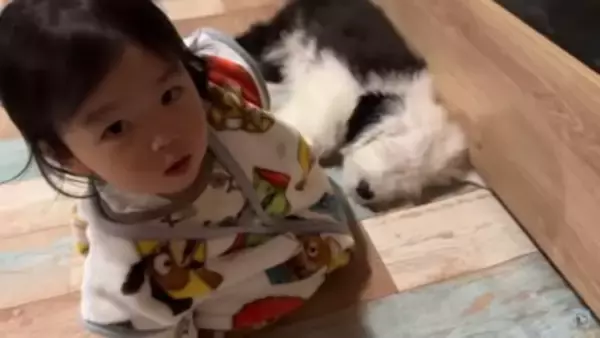 小さな女の子が『超大型犬の子犬』にハグした結果…まさかの反応が『可愛すぎる』と57万再生「照れちゃうの最高ｗ」「幸せそのもの」と悶絶