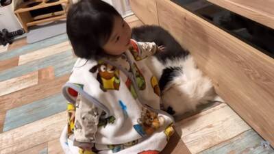 小さな女の子が『超大型犬の子犬』にハグした結果…まさかの反応が『可愛すぎる』と57万再生「照れちゃうの最高ｗ」「幸せそのもの」と悶絶