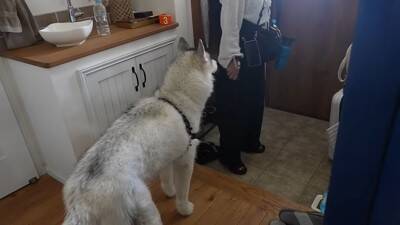 『寂しいよぉ…』自分だけ家に置いていかれた犬…切なすぎる行動が愛おしくなると19万再生「兄ちゃん大好きなんだね」「パパいてもダメかｗ」