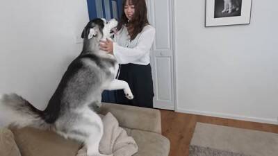 『寂しいよぉ…』自分だけ家に置いていかれた犬…切なすぎる行動が愛おしくなると19万再生「兄ちゃん大好きなんだね」「パパいてもダメかｗ」