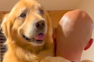 スキンヘッドのパパに抱っこしてもらう大型犬→ママが『頭を舐めてみて』と言うと…思わず笑う行動が15万再生「忠実なのかｗ」「息ぴったり」