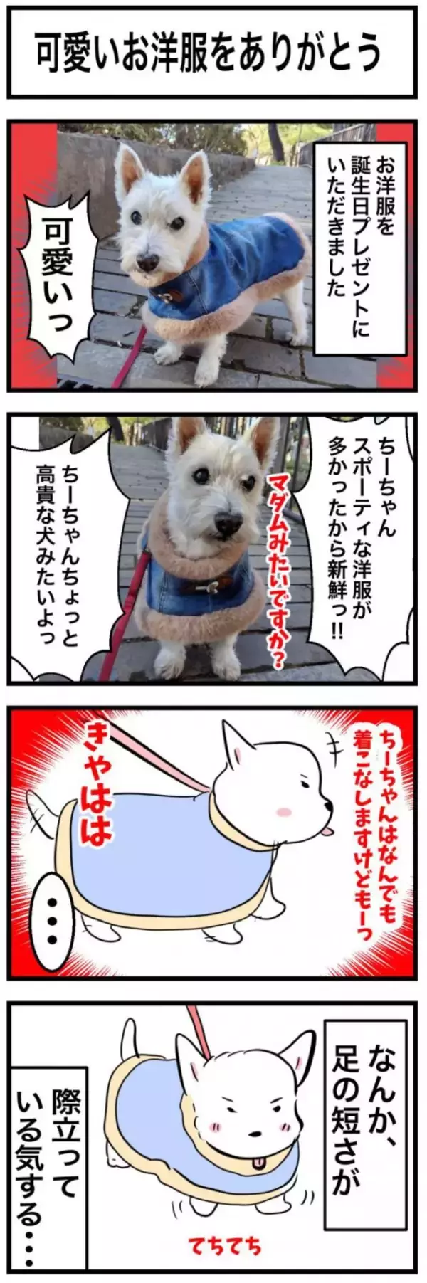 ちーちゃんですけどもっ【第344話】「可愛いお洋服をありがとう」