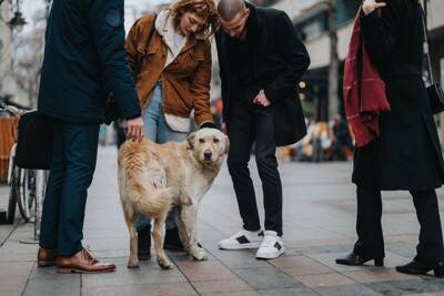 他人の犬にしてはいけない『絶対NG行為』5つ　思わぬアクシデントが発生することも…