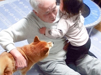 3ヵ月ぶりに『おじいちゃんの家』に帰省→2歳の女の子と犬が…まるで『孫がふたりいるような光景』が尊すぎると58万再生「優しさ溢れてる」