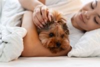 犬が『腕枕を好む理由』3選　飼い主と一緒に寝たがる心理や添い寝する際の注意点まで