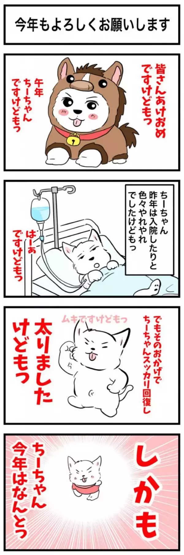 ちーちゃんですけどもっ【第342話】「今年もよろしくお願いします」