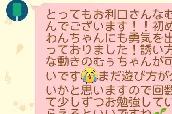 保育園に初登園した子犬→先生からLINEで届いた『中間報告』が泣けると230万表示「なんか涙出てきた…」「独特な誘い方の動きｗ」と反響