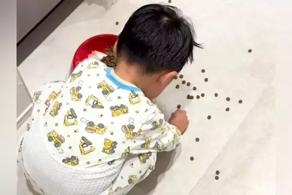 犬のごはんを落としてしまった男の子→必死に拾う後ろで、犬がこっそり…あまりにも尊い『ふたりの様子』が話題「優しすぎて泣ける」と33万再生