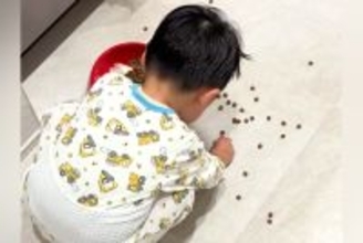 犬のごはんを落としてしまった男の子→必死に拾う後ろで、犬がこっそり…あまりにも尊い『ふたりの様子』が話題「優しすぎて泣ける」と33万再生