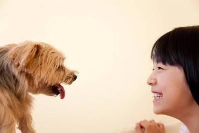 犬が『じっと見つめてくる』心理4選　目が合ったときに飼い主がすべき正しい対応まで