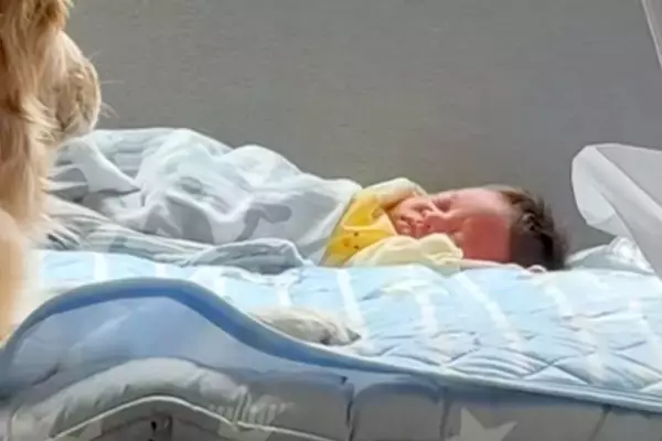 赤ちゃんが寝ている間に『お昼ごはんを食べた』母親→ふと様子を見ると、大型犬が…とんでもなく尊い光景が97万再生「母性溢れてる」「愛おしい」