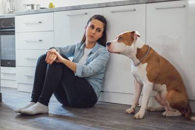 犬を『不機嫌にさせる』行動5つ　愛犬が不満を抱えてしまう飼い主のタブー行為とは？
