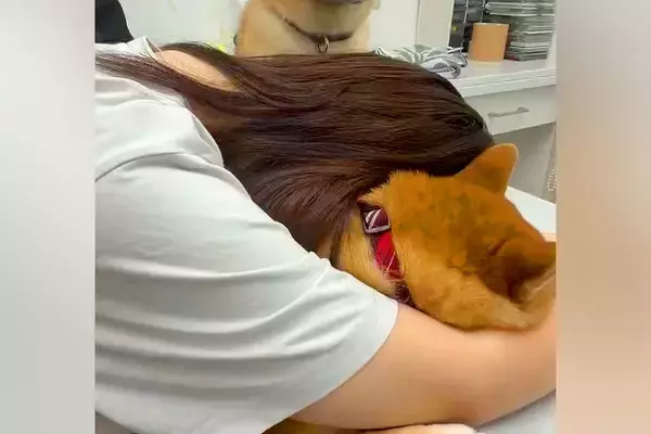 動物病院の待ち時間、睡魔に襲われた女性→犬も隣で眠たくなってしまい…平和すぎる空間に23万いいね「頑張ってて尊すぎ」「責任感あって偉い」