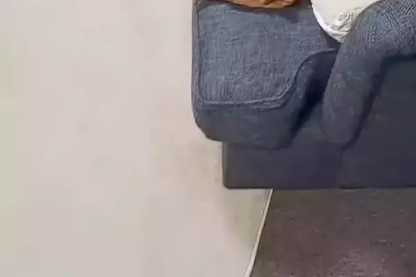 高熱が出たためソファで寝ていたパパ→トイレから戻ってきたら、犬に場所を取られていて…切ない結末が31万再生「パパ可哀想で草」「逆ギレw」