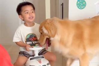 男の子が『車のおもちゃ』で遊んでいたら、犬が…想像以上に上手すぎる『子守の光景』が凄いと46万再生「最高のシッターさん」「子育てのプロ」