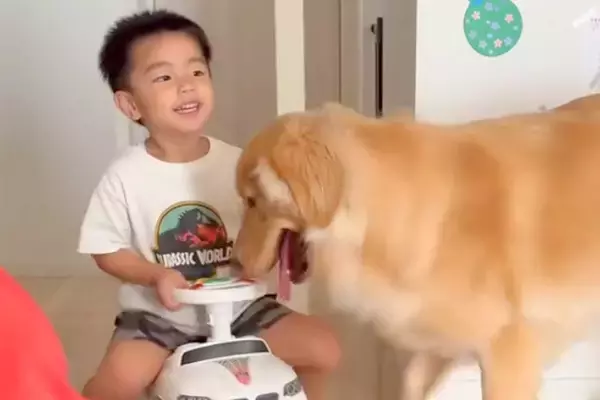 男の子が『車のおもちゃ』で遊んでいたら、犬が…想像以上に上手すぎる『子守の光景』が凄いと46万再生「最高のシッターさん」「子育てのプロ」