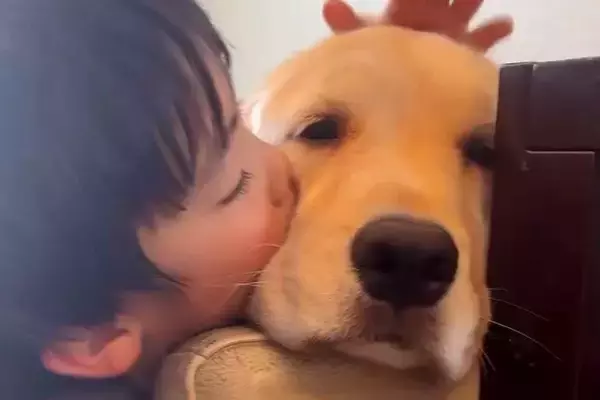 5歳の男の子が『大型犬と暮らした』結果→まるで本当の兄弟のようで…尊すぎる『ふたりの記録』が59万再生「癒しコンビ」「なんて可愛いの」