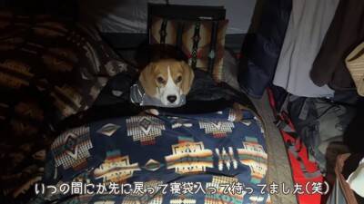 ワンコ2匹と『雪中キャンプ』で年末年始を過ごしてみた結果…ハートフルな光景に「心がポカポカになった」「にやにやしちゃう」の声