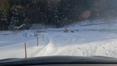 ワンコ2匹と『雪中キャンプ』で年末年始を過ごしてみた結果…ハートフルな光景に「心がポカポカになった」「にやにやしちゃう」の声