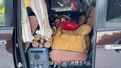 ワンコ2匹と『雪中キャンプ』で年末年始を過ごしてみた結果…ハートフルな光景に「心がポカポカになった」「にやにやしちゃう」の声