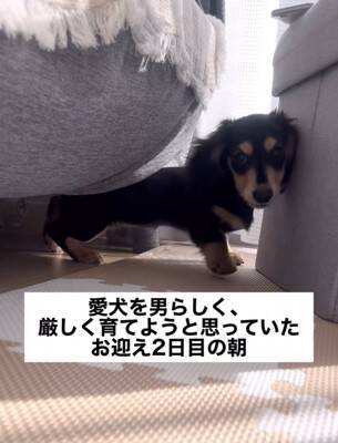 『男らしく厳しく育てよう』と決めて飼った赤ちゃん犬→想像もできなかった『現在の光景』が16万再生「呼び方の変化分かるｗ」「同じく」の声