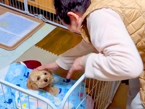 夫を亡くした『87歳のおばあちゃん』が犬と暮らした結果…ずっと見ていたい『本当の息子のようなお世話』に感動「なんて優しいの」「ほっこり」