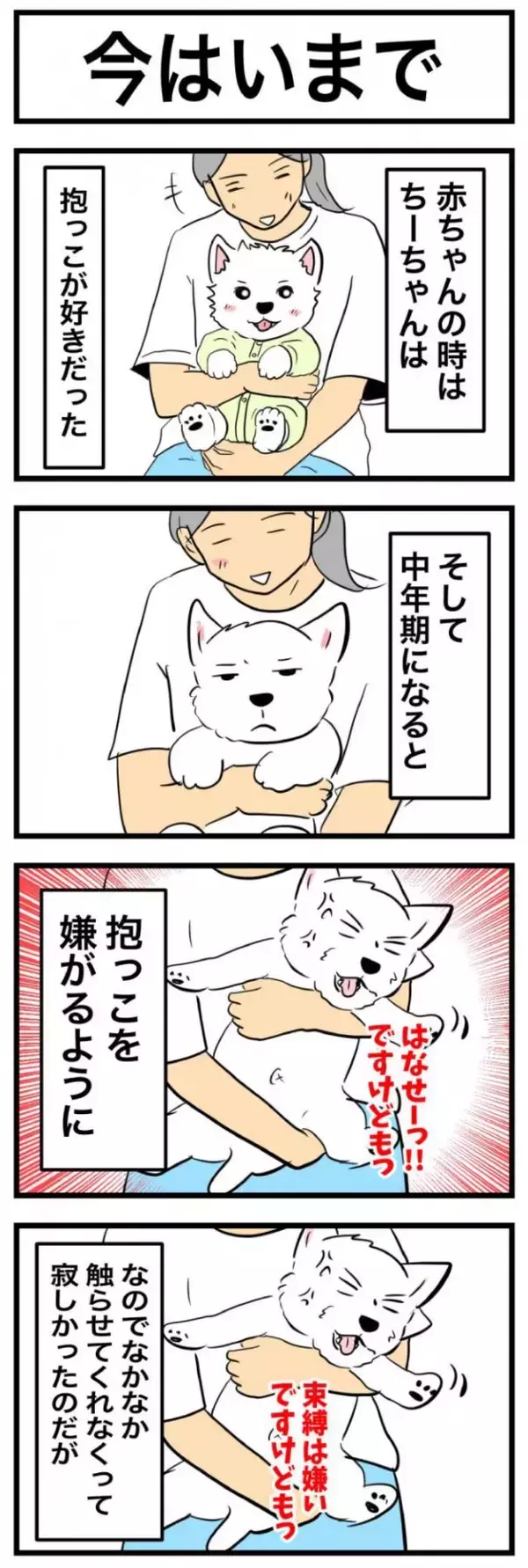 ちーちゃんですけどもっ【第368話】「今はいまで」