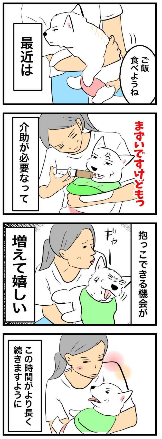 ちーちゃんですけどもっ【第368話】「今はいまで」