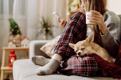 犬が飼い主に『くっついてくる』心理5選　離れようとしないのはなぜ？飼い主がすべき対応まで