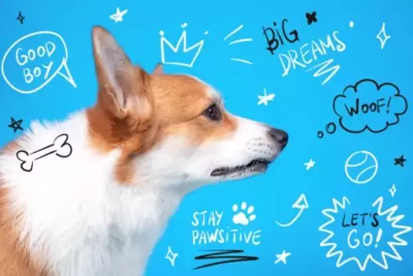犬が認識しやすい『ワード』5選　特定の言葉を覚えさせるために必要なトレーニングとは？