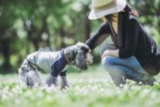 シニア犬の『筋力アップ』に効果的なお散歩方法4つ　取り入れるべき理由やケアの方法まで解説