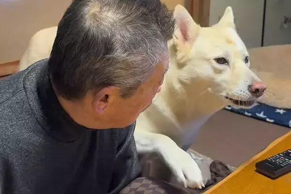 『おじいちゃん、一緒に2階に来てよ』と駄々をこねる犬→8回目のおねだりで…いつまでも見ていたい光景が401万再生「尊い…」「会話してる」