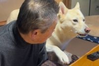 『おじいちゃん、一緒に2階に来てよ』と駄々をこねる犬→8回目のおねだりで…いつまでも見ていたい光景が401万再生「尊い…」「会話してる」