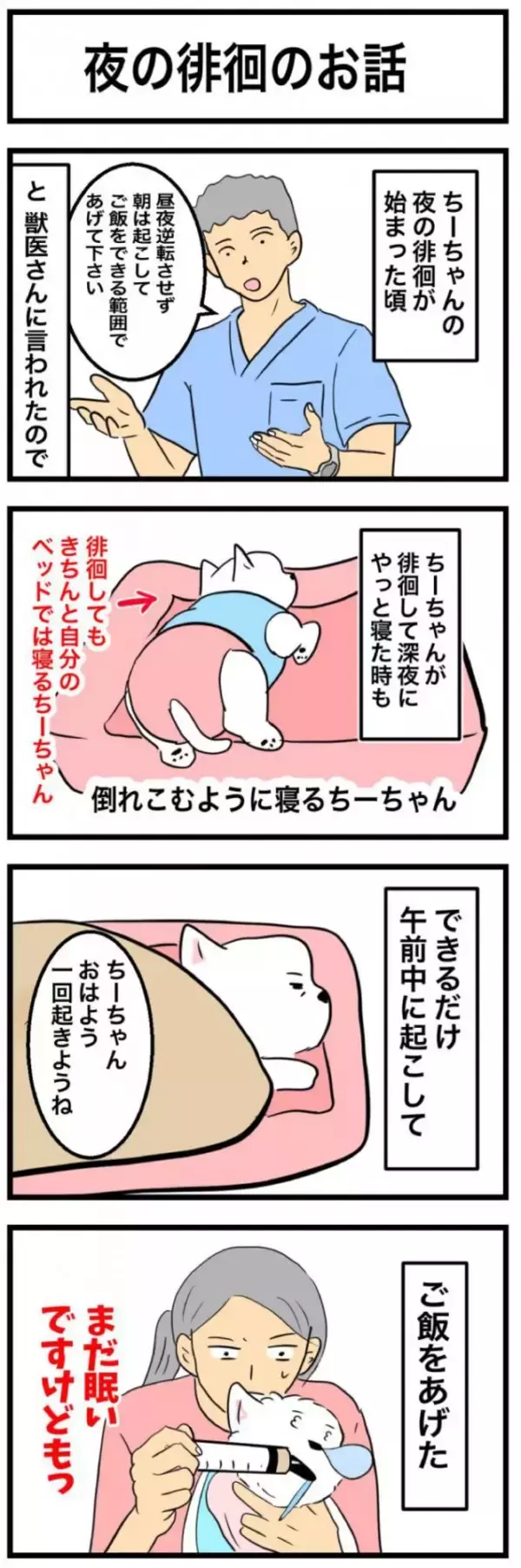 ちーちゃんですけどもっ【第356話】「夜の徘徊のお話」