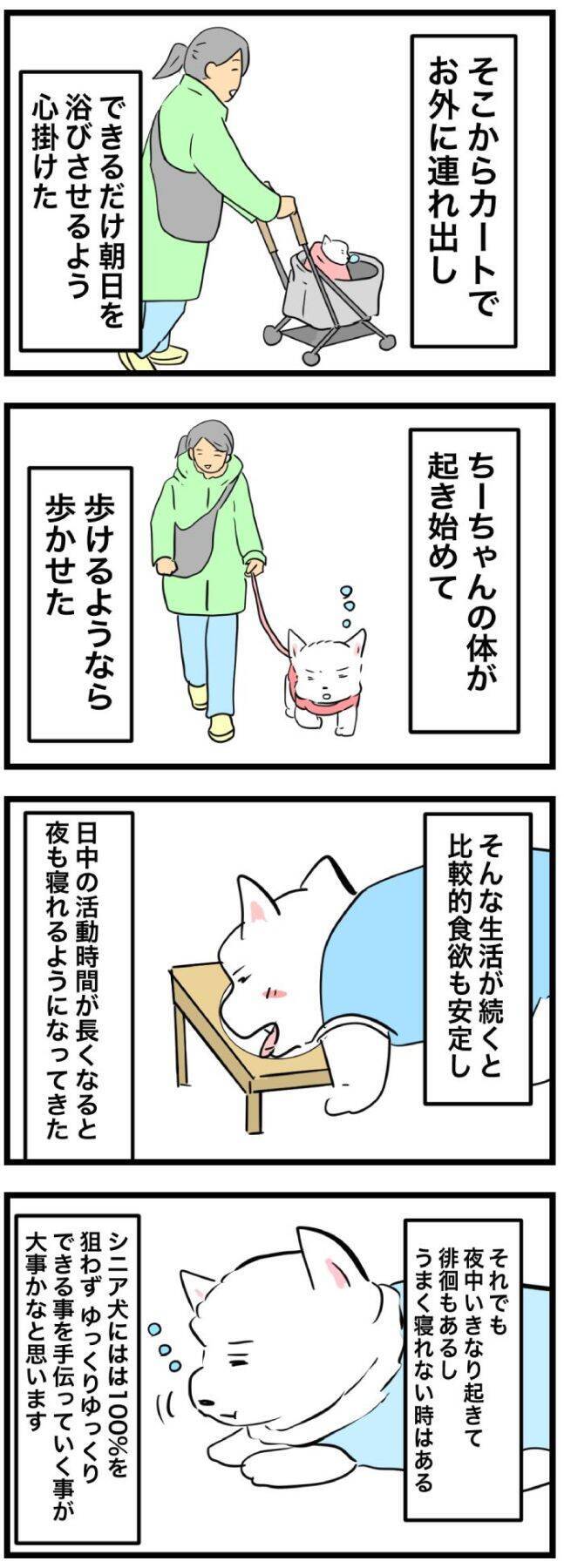 ちーちゃんですけどもっ【第356話】「夜の徘徊のお話」