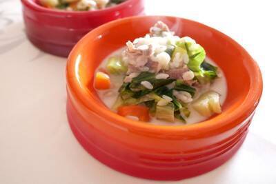 犬に『白菜』を食べさせても問題ない？愛犬に与えるメリットや適切な量、注意点まで解説