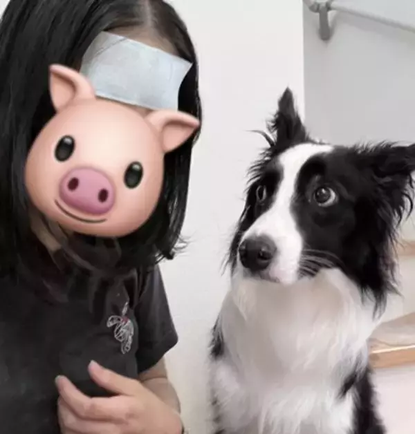 頭痛改善のため、頭に冷却シートを貼った結果→犬が…辛辣すぎる『まさかのリアクション』に3万いいね「思った以上にドン引きしてて草」「顔ｗ」