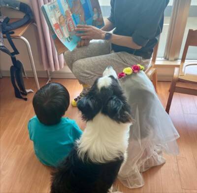 頭痛改善のため、頭に冷却シートを貼った結果→犬が…辛辣すぎる『まさかのリアクション』に3万いいね「思った以上にドン引きしてて草」「顔ｗ」