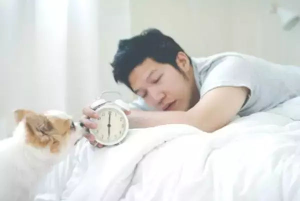 犬が『早起き』な理由4つ　毎朝、飼い主を起こしてくるのはなぜ？対処法まで解説
