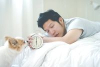 犬が『早起き』な理由4つ　毎朝、飼い主を起こしてくるのはなぜ？対処法まで解説