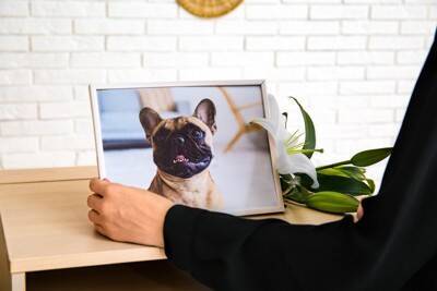 愛犬が亡くなった後、お盆の迎え方とは？どのように過ごすべきなの？知っておいた方がいい供養方法まで