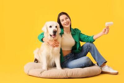 犬の『ベッド』絶対NGな洗濯方法５選　愛犬に健康被害をもたらす危険行為まで解説