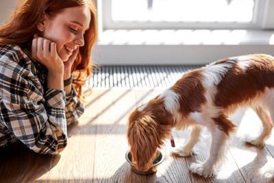愛犬を『過保護』に育てるデメリット5選　過剰に甘やかしたときに考えられるリスクや適切なお世話まで