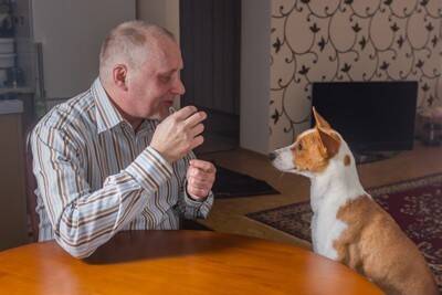 犬に『話しかけた方がいい』といわれる理由3つ　飼い主との会話を理解しているの？